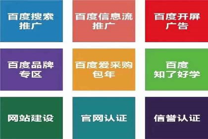 SEO与SEM融合策略：成功案例解析
